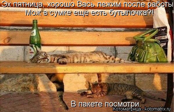 Котоматрица: Эх пятница, хорошо Вась лежим после работы.  Мож в сумке еще есть бутылочка?! В пакете посмотри.