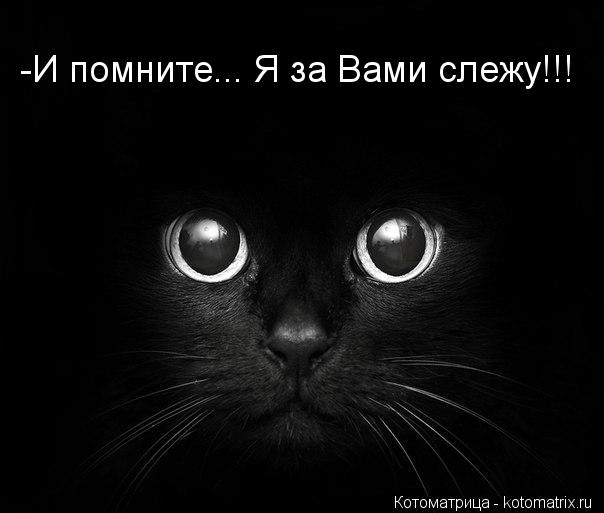 -И помните... Я за Вами слежу!!!... Котоматрица: -И помните... Я за Вами слежу!!!
