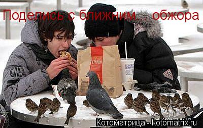 Котоматрица: Поделись с ближним... обжора
