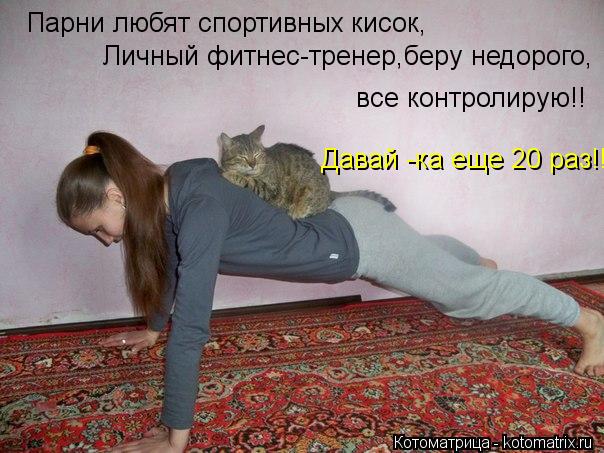 Котоматрица: Парни любят спортивных кисок, Личный фитнес-тренер,беру недорого, все контролирую!! Давай -ка еще 20 раз!!