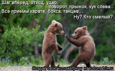 Котоматрица: Шаг вперед, отход, удар,  поворот, прыжок, хук слева... Все приемы карате, бокса, танцев... Ну? Кто смелый?