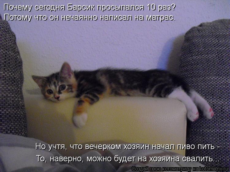 Котоматрица: Почему сегодня Барсик просыпался 10 раз?  Потому что он нечаянно написал на матрас. То, наверно, можно будет на хозяина свалить... Но учтя, что 
