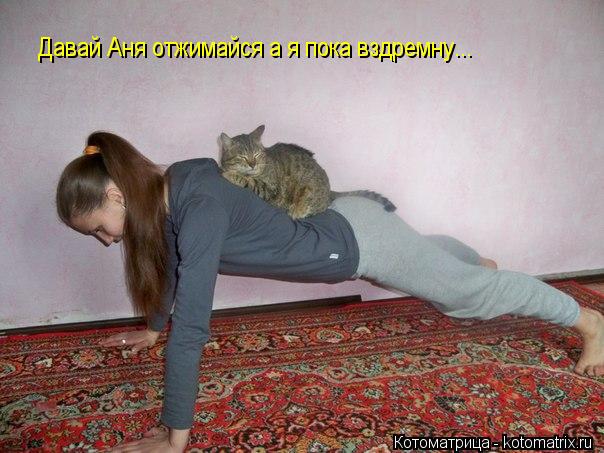 Котоматрица: Давай Аня отжимайся а я пока вздремну...