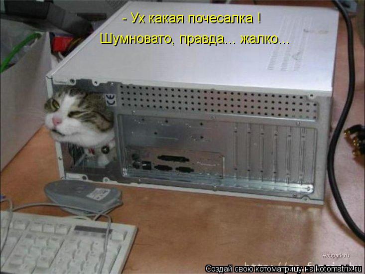 Котоматрица: - Ух какая почесалка ! Шумновато, правда... жалко...
