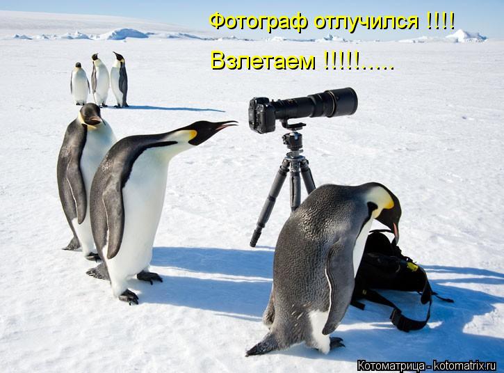 Котоматрица: Фотограф отлучился !!!! Взлетаем !!!!!.....