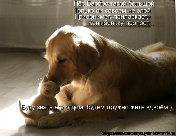 Котоматрица: Пёс Барбос такой большой.. Только он совсем не злой Приобнимет, приласкает, Колыбельку пропоет... Буду звать его отцом, будем дружно жить вдв