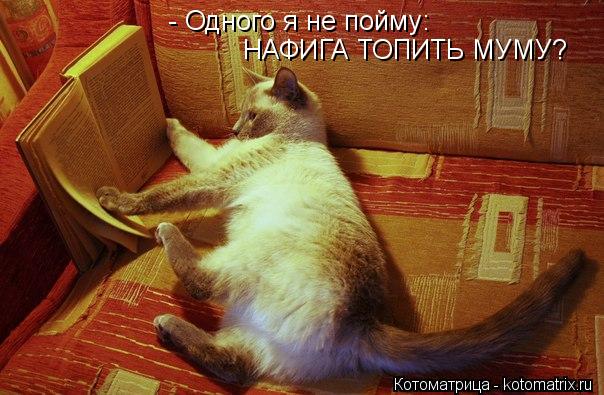 Котоматрица: - Одного я не пойму: НАФИГА ТОПИТЬ МУМУ?