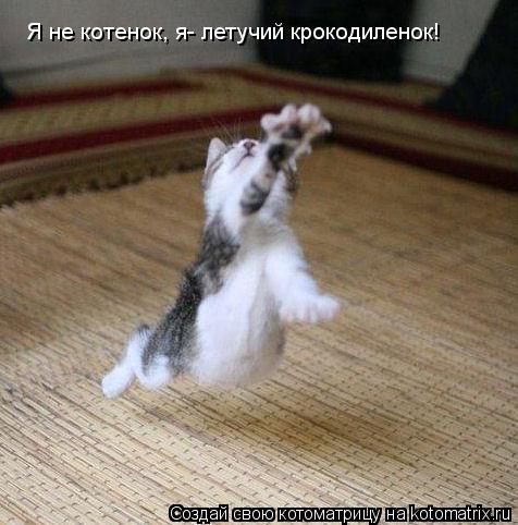 Котоматрица: Я не котенок, я- летучий крокодиленок!