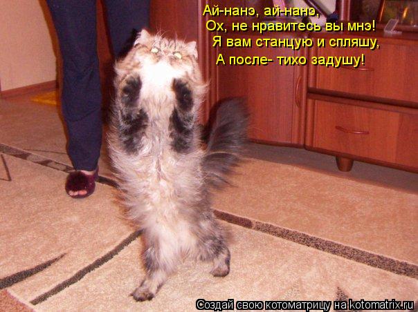 Котоматрица: Ай-нанэ, ай-нанэ, Ох, не нравитесь вы мнэ! Я вам станцую и спляшу, А после- тихо задушу!