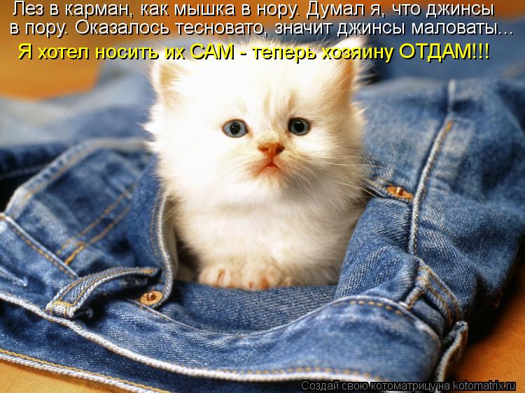 Котоматрица: Лез в карман, как мышка в нору. Думал я, что джинсы в пору. Оказалось тесновато, значит джинсы маловаты... Я хотел носить их САМ - теперь хозяин