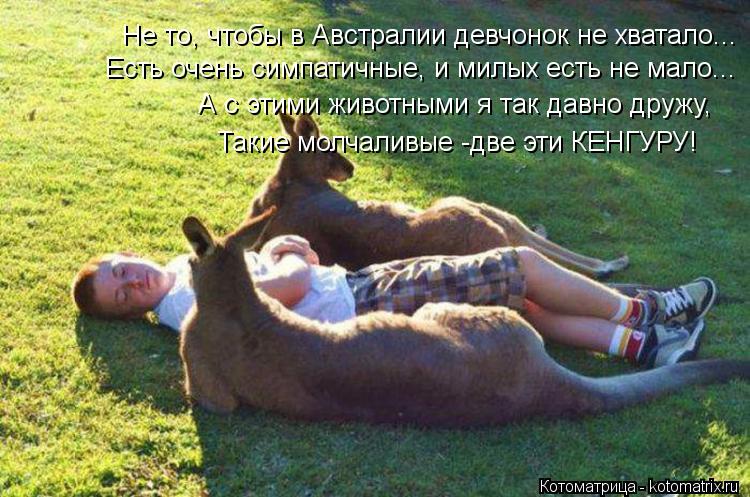Котоматрица: Не то, чтобы в Австралии девчонок не хватало... Есть очень симпатичные, и милых есть не мало... А с этими животными я так давно дружу, Такие мол