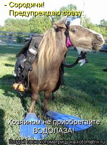 Котоматрица: - Сородичи!  Предупреждаю сразу: Хозяином не приобретайте ВОДОЛАЗА!