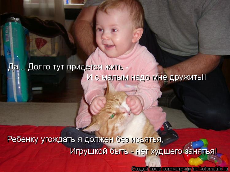 Котоматрица: Да... Долго тут придется жить - И с малым надо мне дружить!! Ребенку угождать я должен без изъятья, Игрушкой быть - нет худшего занятья!