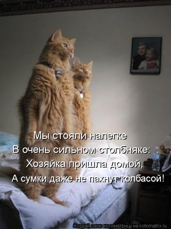 Котоматрица: Мы стояли налегке Хозяйка пришла домой, А сумки даже не пахнут колбасой! В очень сильном столбняке: