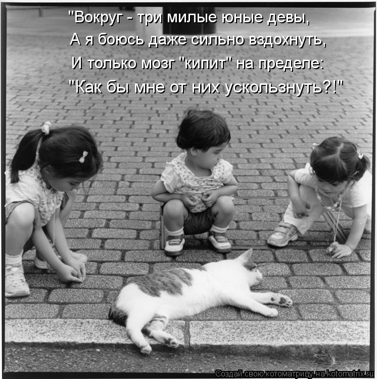 Котоматрица: "Вокруг - три милые юные девы, И только мозг "кипит" на пределе: "Как бы мне от них ускользнуть?!" А я боюсь даже сильно вздохнуть,