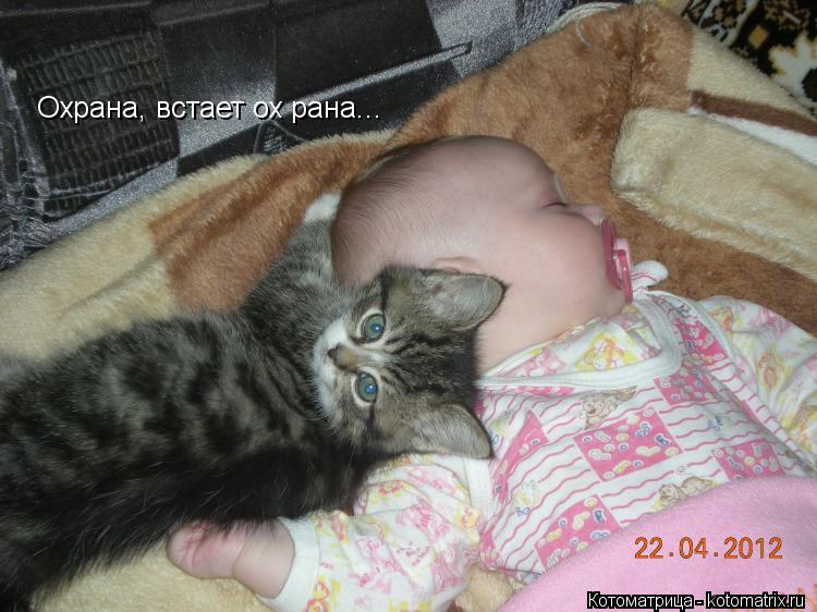 Котоматрица: Охрана, встает ох рана...