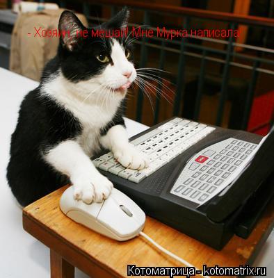 Котоматрица: - Хозяин, не мешай! Мне Мурка написала!