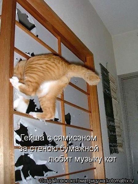 Котоматрица: Гейша с сямисэном за стеною бумажной любит музыку кот
