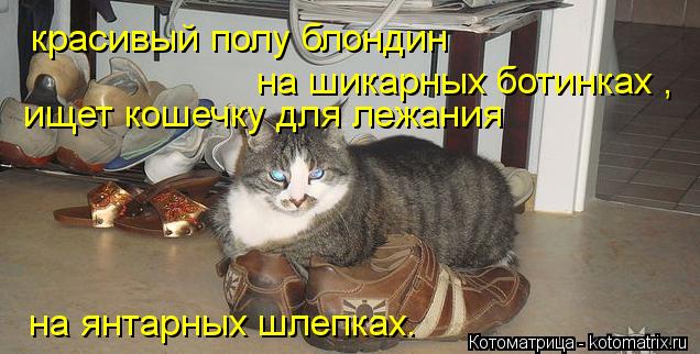 Котоматрица: красивый полу блондин  на шикарных ботинках , ищет кошечку для лежания   на янтарных шлепках.