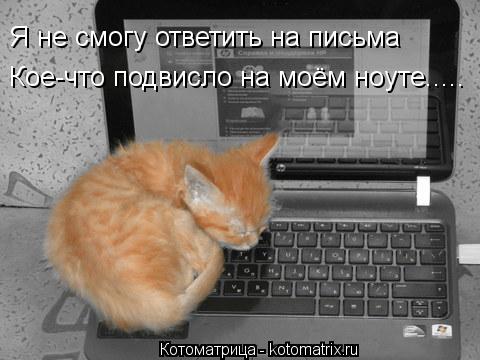 Котоматрица: Я не смогу ответить на письма Кое-что подвисло на моём ноуте.....