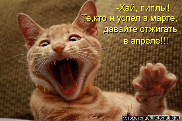 Котоматрица: -Хай, пиплы! Те,кто н успел в марте, давайте отжигать в апреле!!!
