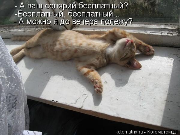 Котоматрица: - А ваш солярий бесплатный? -Бесплатный, бесплатный... - А можно я до вечера полежу?