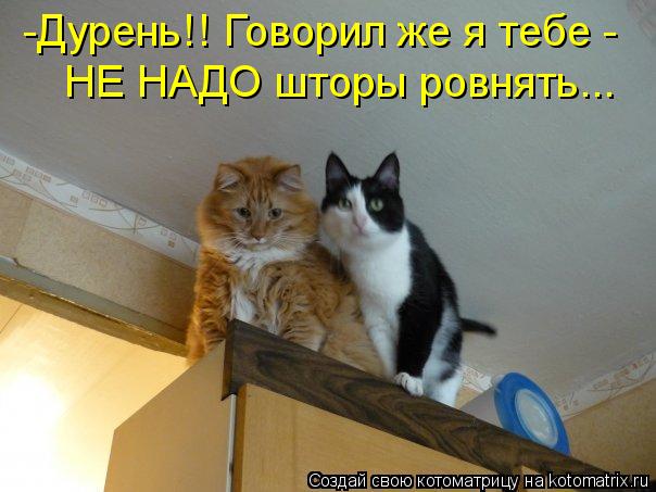 Котоматрица: -Дурень!! Говорил же я тебе -  НЕ НАДО шторы ровнять...