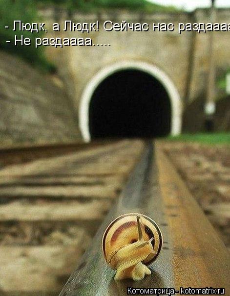 Котоматрица: - Людк, а Людк! Сейчас нас раздаааа..... - Не раздаааа.....