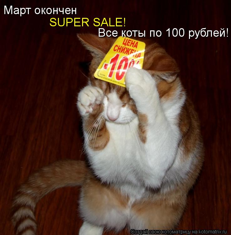 Котоматрица: Март окончен SUPER SALE! Все коты по 100 рублей!