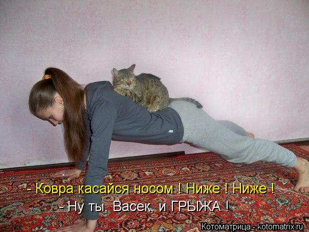 Котоматрица: - Ну ты, Васек, и ГРЫЖА ! - Ковра касайся носом ! Ниже ! Ниже !