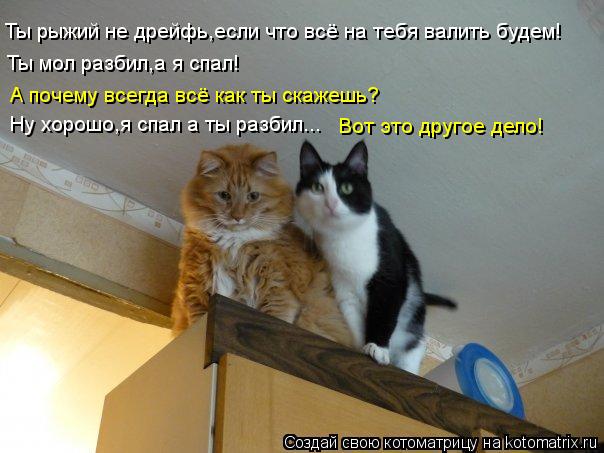 Ты рыжий не дрейфь,если что всё на тебя валить будем! Ты мол разбил,а я спал! А почему всегда всё как... Котоматрица: Ты рыжий не дрейфь,если что всё на тебя валить будем! Ты мол разбил,а я спал! А почему всегда всё как ты скажешь? Ну хорошо,я спал а ты разбил...