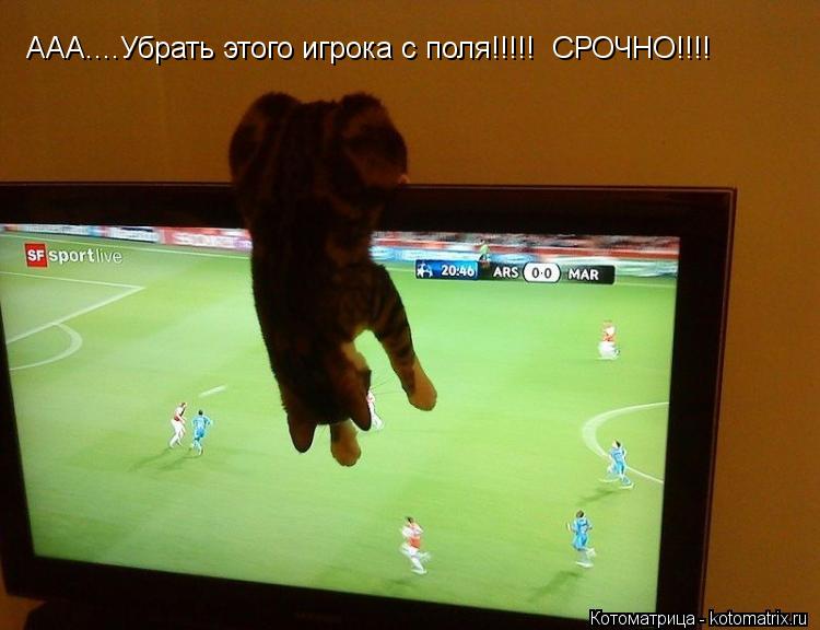 Котоматрица: ААА....Убрать этого игрока с поля!!!!!  СРОЧНО!!!!