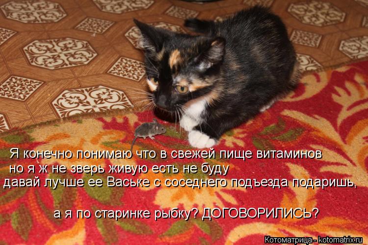 Я конечно понимаю что в свежей пище витаминов но я ж не зверь живую есть не буду давай лучше ее Вась... Котоматрица: Я конечно понимаю что в свежей пище витаминов но я ж не зверь живую есть не буду давай лучше ее Ваське с соседнего подъезда подаришь, а я по