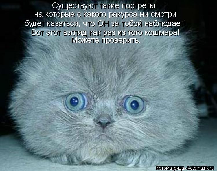 Существуют такие портреты, на которые с какого ракурса ни смотри будет казаться, что ОН за тобой набл... Котоматрица: Существуют такие портреты, на которые с какого ракурса ни смотри будет казаться, что ОН за тобой наблюдает! Вот этот взгляд как раз из того к