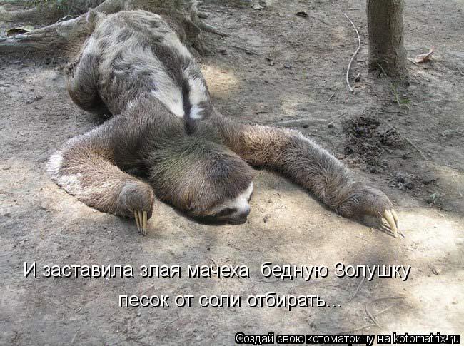 И заставила злая мачеха бедную Золушку песок от соли отбирать...... Котоматрица: И заставила злая мачеха бедную Золушку песок от соли отбирать...