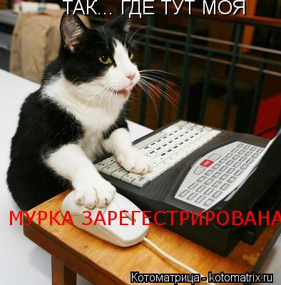 ТАК... ГДЕ ТУТ МОЯ МУРКА ЗАРЕГЕСТРИРОВАНА... Котоматрица: ТАК... ГДЕ ТУТ МОЯ МУРКА ЗАРЕГЕСТРИРОВАНА