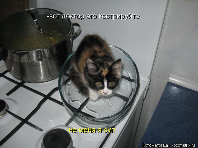 Котоматрица: -вот доктор его кострируйте -не меня я суп