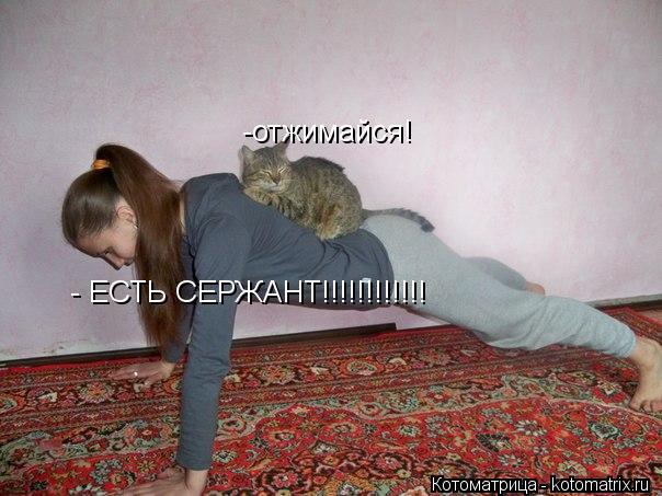 Котоматрица: -отжимайся! - ЕСТЬ СЕРЖАНТ!!!!!!!!!!!!