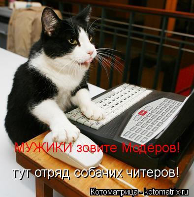 Котоматрица: тут отряд собачих читеров! МУЖИКИ зовите Модеров!