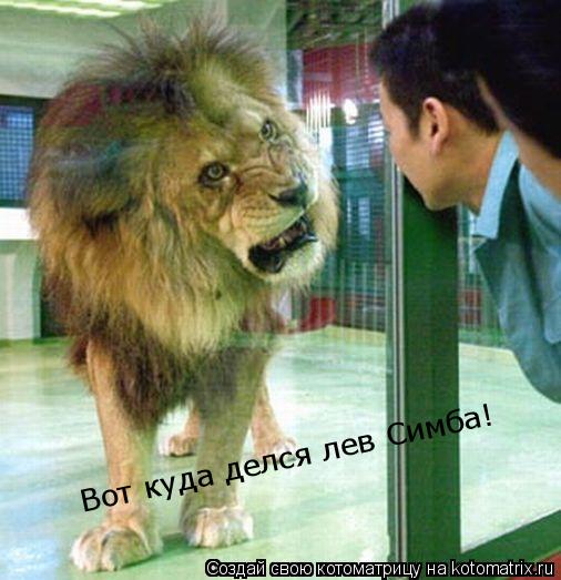 Котоматрица: Вот куда делся лев Симба!