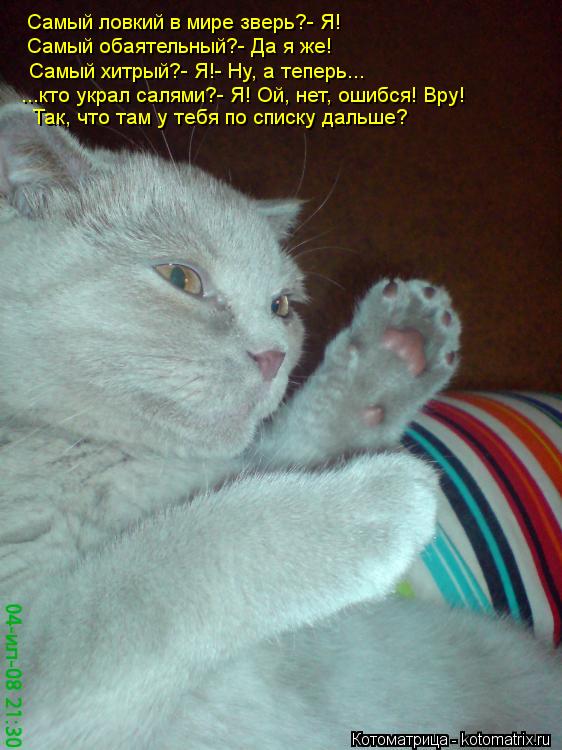 Котоматрица: Самый обаятельный?- Да я же! Самый ловкий в мире зверь?- Я! Самый хитрый?- Я!- Ну, а теперь... ...кто украл салями?- Я! Ой, нет, ошибся! Вру! Так, что та