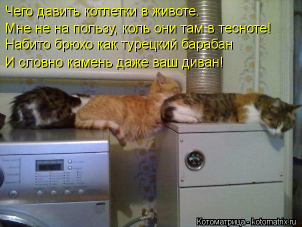 Котоматрица: Чего давить котлетки в животе. Мне не на пользу, коль они там в тесноте! Набито брюхо как турецкий барабан И словно камень даже ваш диван!
