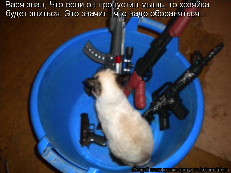 Котоматрица: Вася знал, Что если он пропустил мышь, то хозяйка будет злиться. Это значит , что надо обораняться...