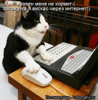 Котоматрица: хозяен меня не кормит:( закажу-ка я вискас через интернет!)