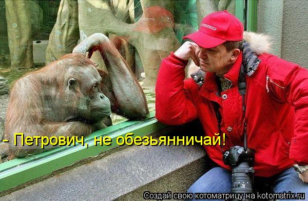 Котоматрица: - Петрович, не обезьянничай!