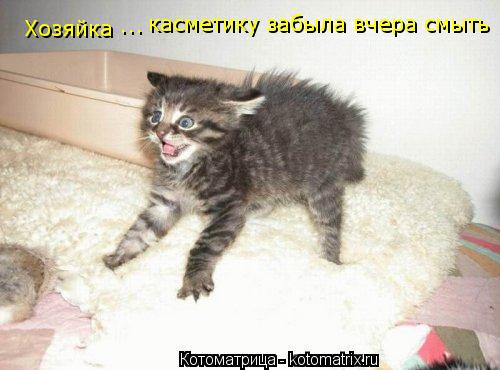 Котоматрица: Хозяйка ... касметику забыла вчера смыть