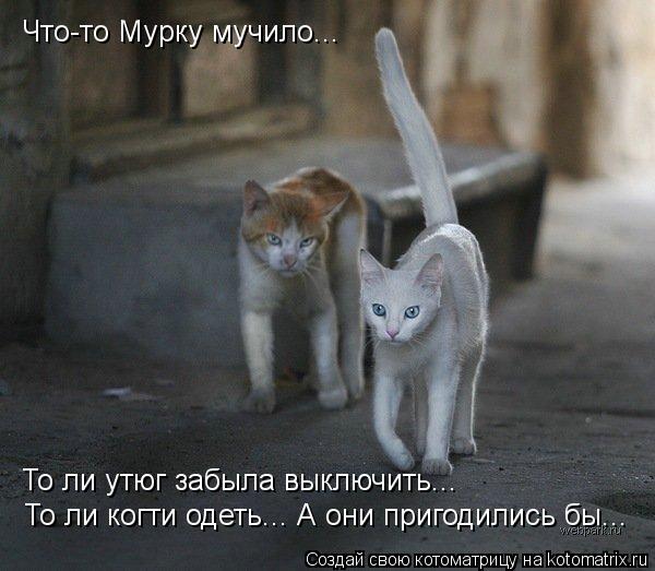 Котоматрица: Что-то Мурку мучило... То ли утюг забыла выключить... То ли когти одеть... А они пригодились бы...