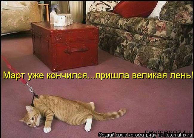 Котоматрица: Март уже кончился...пришла великая лень!