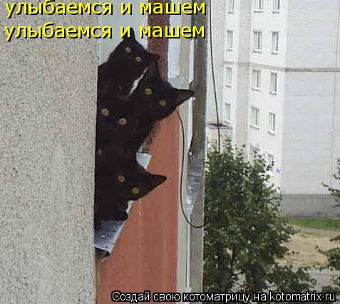 Котоматрица: улыбаемся и машем улыбаемся и машем