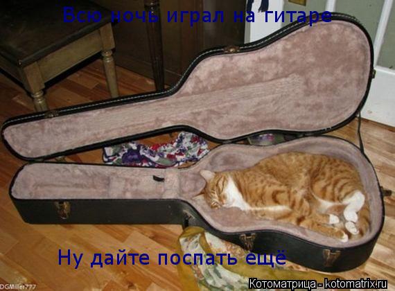 Котоматрица: Всю ночь играл на гитаре Ну дайте поспать ещё
